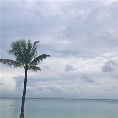 果盘游戏地下城与冒险下载